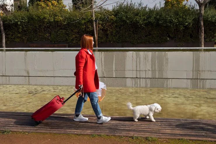 Pre-Flight Veterinary and Health Check Coordination